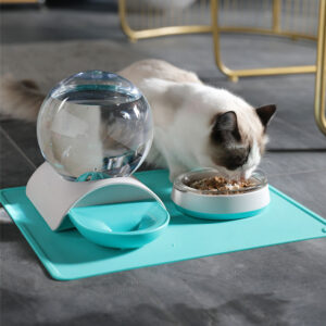 Pet feeding waterer