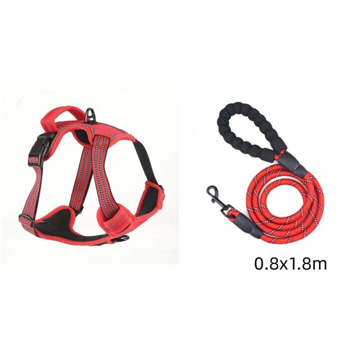 1f603527-fd39-4ced-8742-9536bcda80da.jpg