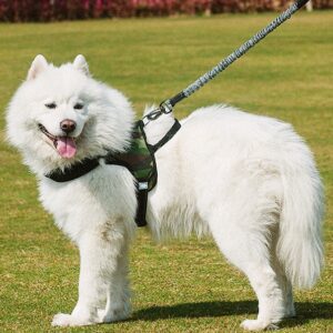 Dog Chest Harness with Leash for Small & Large Dogs