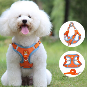 Reflective Soft Mesh Dog Harness with Leash for Small & Large Dogs