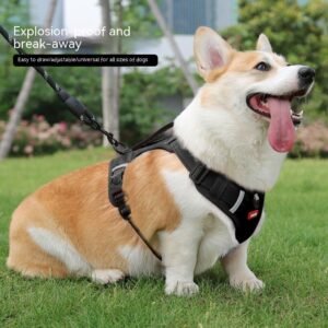 Reflective No Pull Dog Harness Vest with Leash