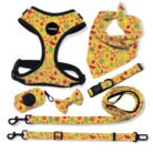 b4e458d9-e779-4056-b59f-beb02833ffa3.jpg