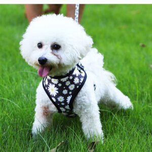 Breathable Adjustable Dog Harness & Leash Set