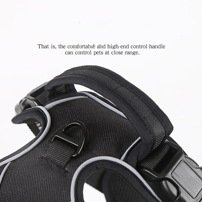 cb668dec-3df3-4496-ba21-24ea8fda25a4.jpg